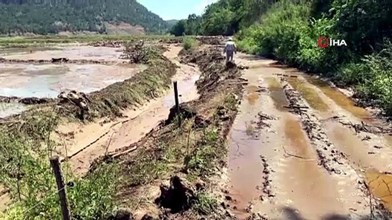 Karabük'te yaka seli çeltik tarlalarını vurdu