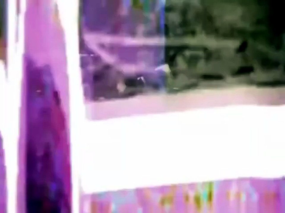 Migration pendulaire (2012)