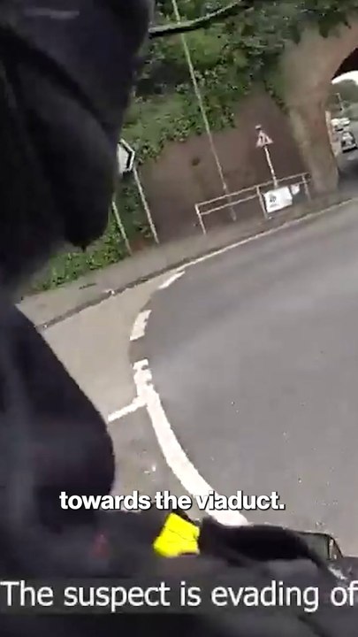 Van driver delivers officer to suspect in crazy police chase