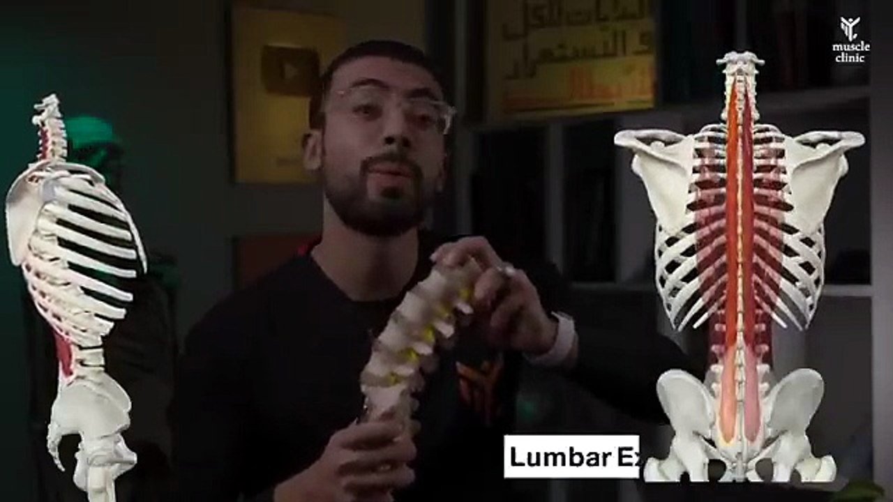 العضلة الخفية التي ستنهي الام أسفل الظهر للأبد...