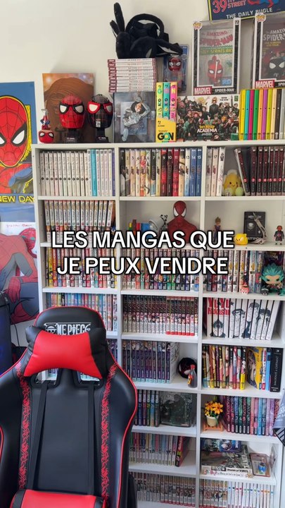 Les mangas que je peux vendre