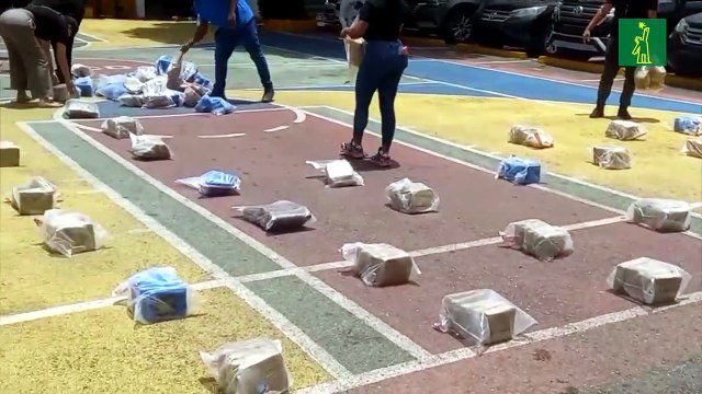 DNCD ocupa 1,743 paquetes de presuntas drogas en Peravia y decomisa otros 90 en el AILA