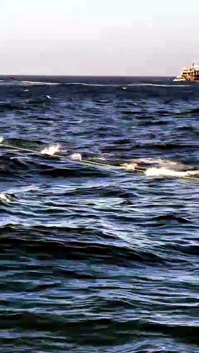 🌻Nature , Ocean and Fishing Fishing life