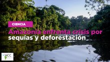Amazonía enfrenta crisis por sequías y deforestación