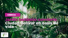 Jardín botánico convierte Ciudad Bolívar en oasis de vida
