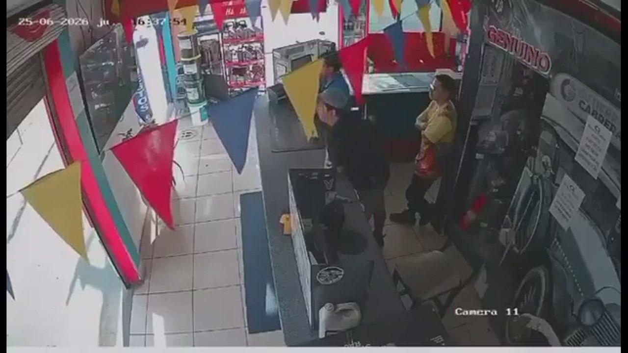 Un perro celebró junto a algunos vendedores el gol de Gonzalo Plata contra Alemania