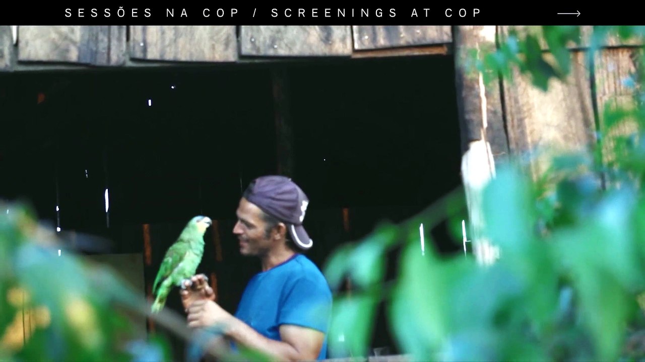 Teaser 'Pau d’Arco' para a COP 30