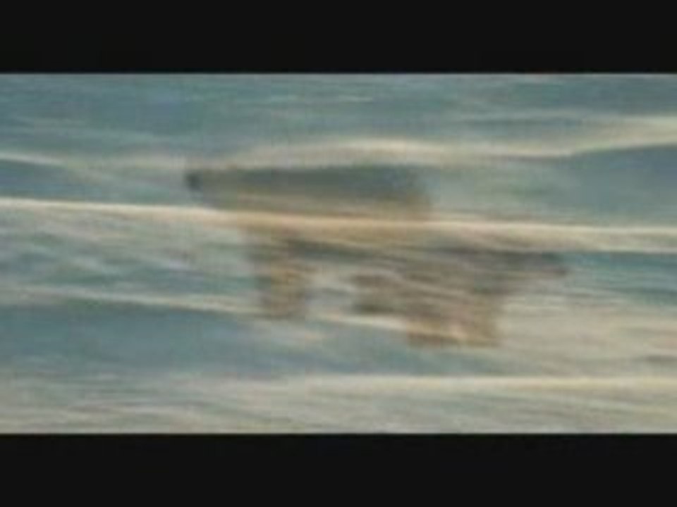 Naitre pour vivre, vivre pour mourir