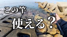 【穴釣り】バスロッドで穴釣りしてみたらカサゴが連発した！