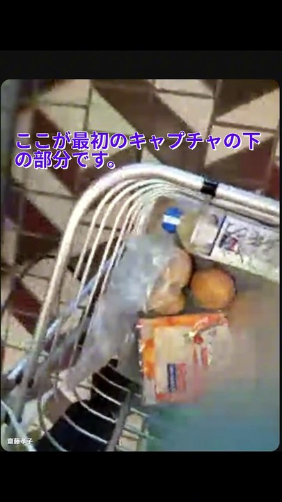 ６月２６日の買い物です。