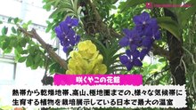 【生肉_配信】260612_GSGK32_現地集合現地解散_#21