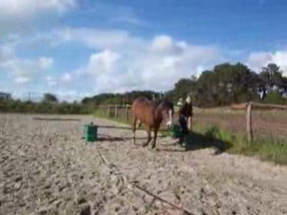 farceur