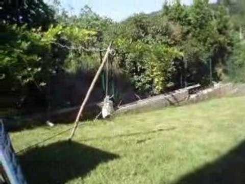 Tire a l'arc dans nimporte quoi