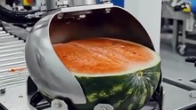 Inside the Watermelon Juice Factory! 🍉