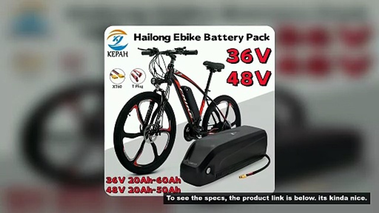 New 36V 48V Battery Hailong battery polyester DP-9, BMS 18650 cell, lithium-ion 36V 48V battery pack
