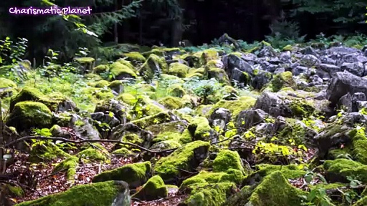 Europe’s Strangest Waterfall Isn’t Made of Water!