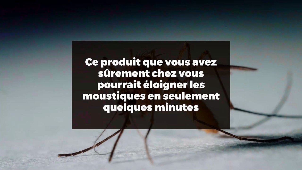 Ce produit que vous avez sûrement chez vous pourrait éloigner les moustiques en seulement quelques minutes