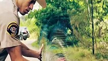 Small town police discover a hidden car #Movie #drama #recap