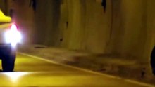 Tünelde otomobilin çarptığı bozayı, kaçarken çaya düştü
