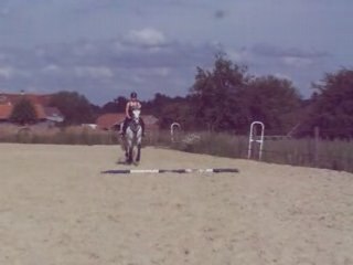 Travail Loulou 26/06/08