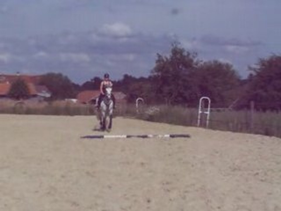 Travail Loulou 26/06/08