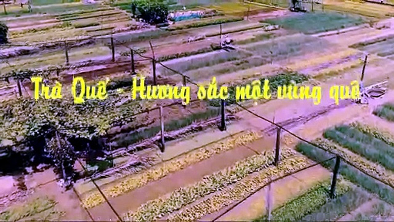 Travel Danang - Tra Que Vegetable Village