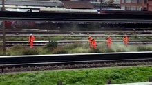 Happy Worker Dancing While Cutting Grass