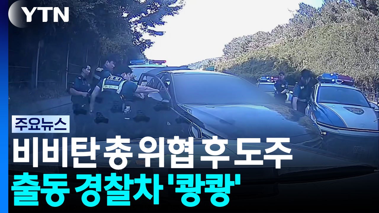 장난감 총 위협 후 도주...출동 경찰차 '쾅쾅' / YTN