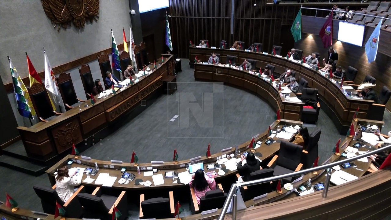 La Comisión de Planificación del Senado aún no aprobó en detalle el proyecto de ley del Presupuesto Reformulado.