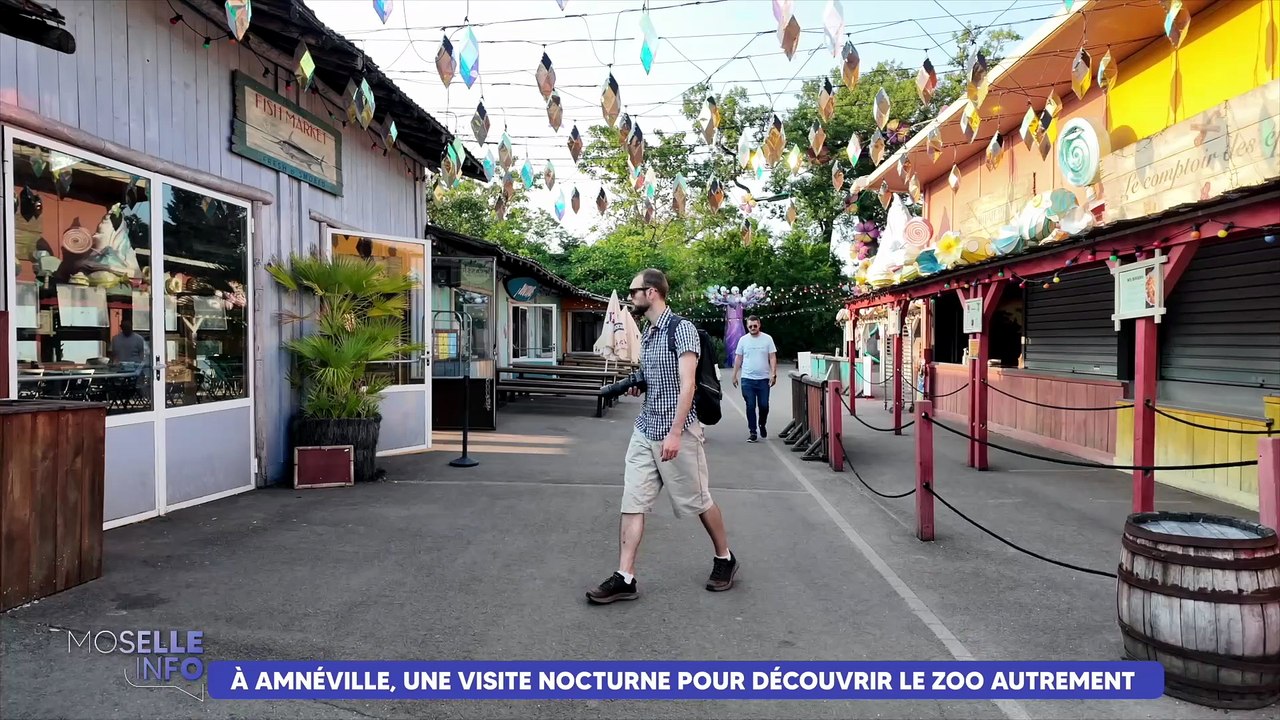 Au Zoo d'Amnéville, une visite nocturne pour découvrir les animaux autrement