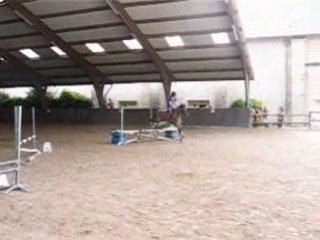 CSO déguiser avec Harlequin