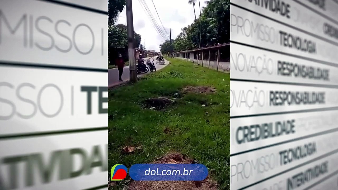 Moradores do bairro de águas lindas, em Ananindeua se assustam com a presença de uma jacaré.