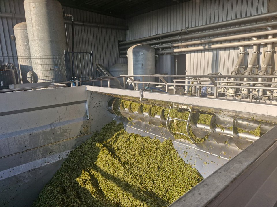Les vendanges ont débuté dans cette cave du Gard