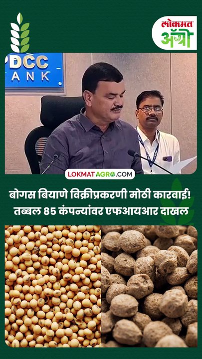 बोगस बियाणे विक्रीप्रकरणी मोठी कारवाई! तब्बल ८५ कंपन्यांवर एफआयआर दाखल_1