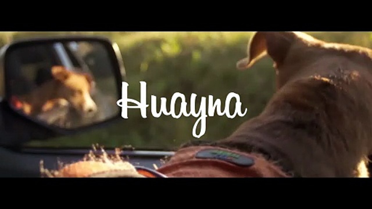 Huayna | movie | 2020 | Official Clip