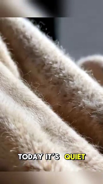 The 4,000-Year-Old Rule Your Outfit Is Secretly Using
