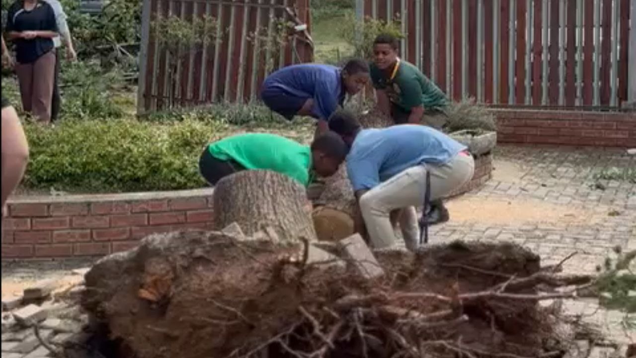 Heartwarming Community Rallies to Aid Café Owners Following Storm Damage