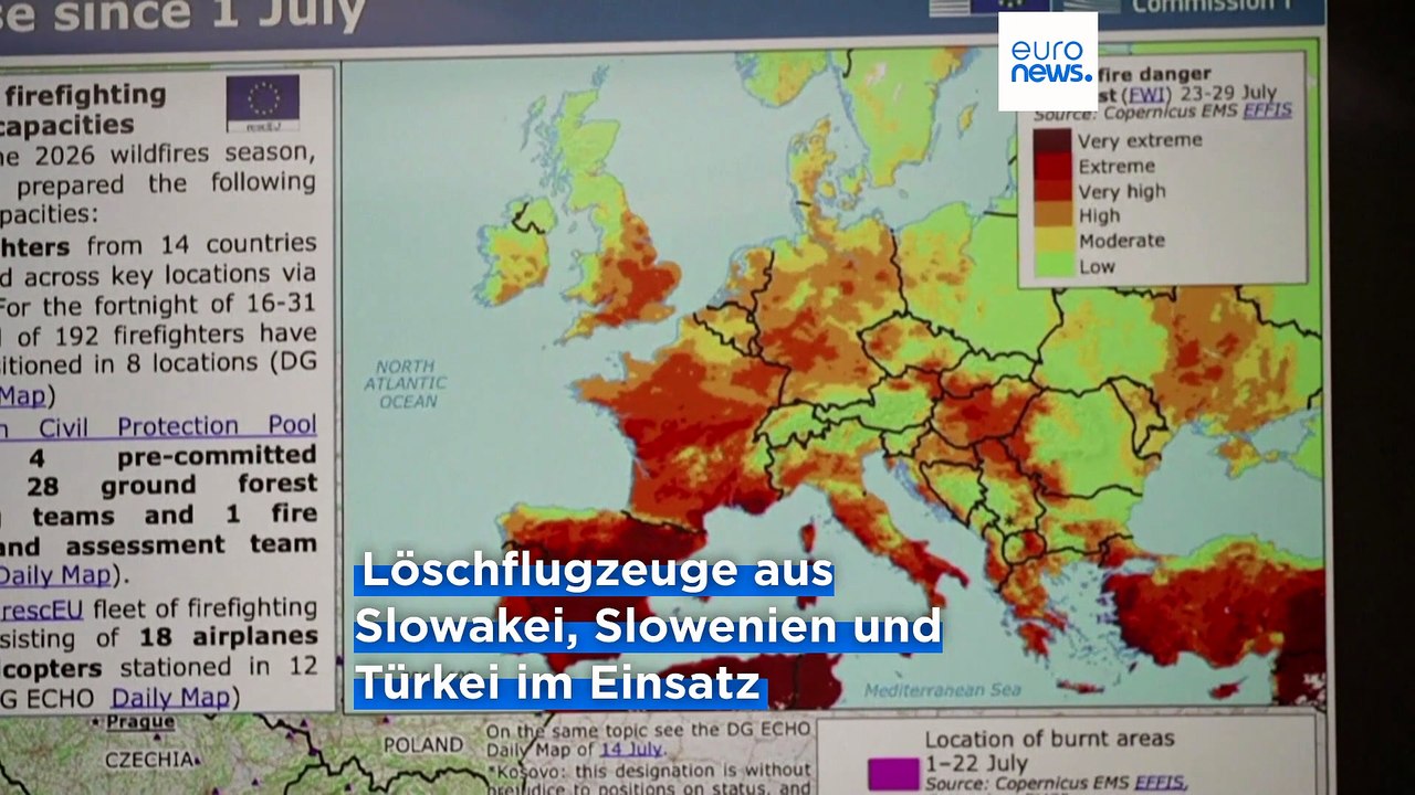 Waldbrände: EU koordiniert Hilfseinsätze in Frankreich und Spanien