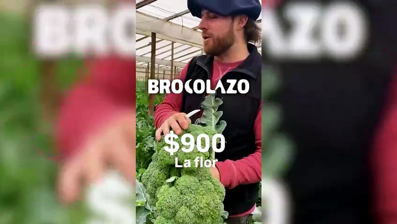 El brocolazo