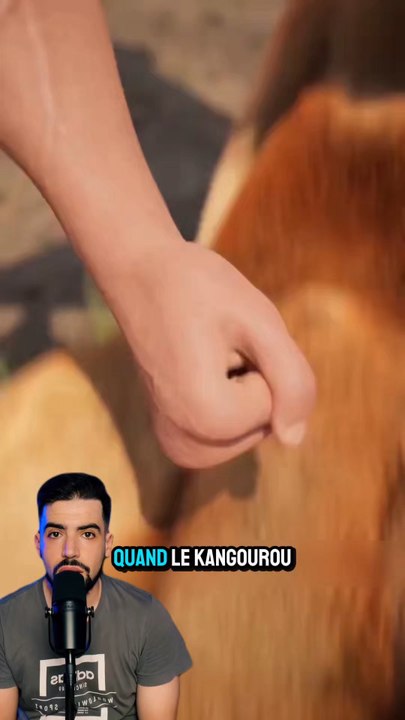 Quand un kangourou née