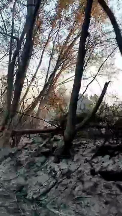 Incendio de San Cipriano