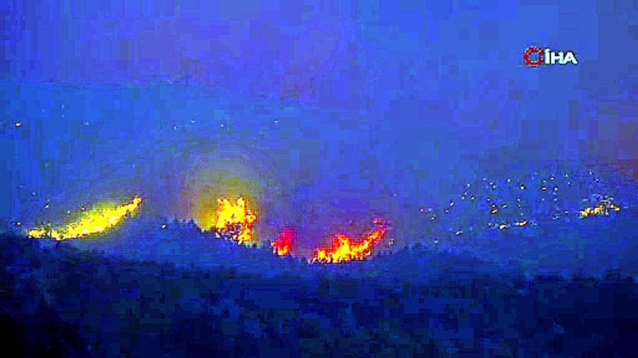 Alanya’daki yangına 95 araç ve 320 personelle müdehale ediliyor