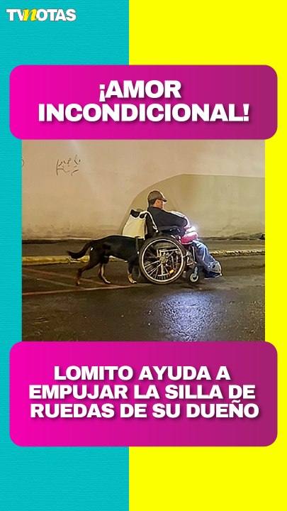 Perrito ayuda a empujar la silla de ruedas de su dueño y conmueve a todos.