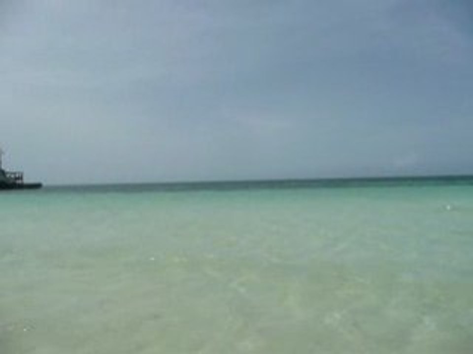 Caillo Blanco Cuba