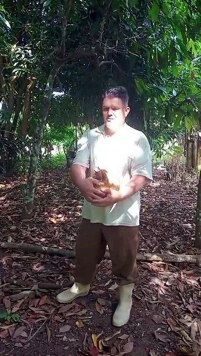 VANTAGENS DE MORAR NA ROÇA