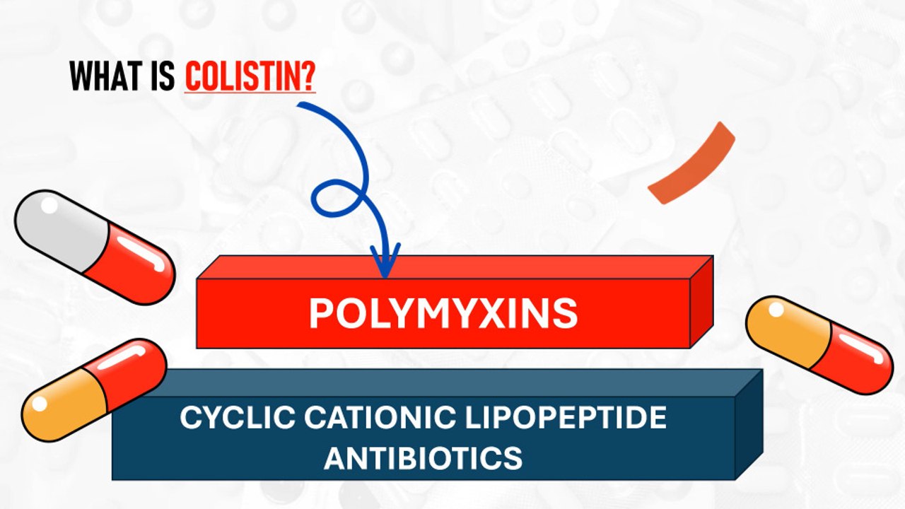Colistin (Polymyxin E): How It Works, Resistant Bacteria, Risks & Modern Medical Applications