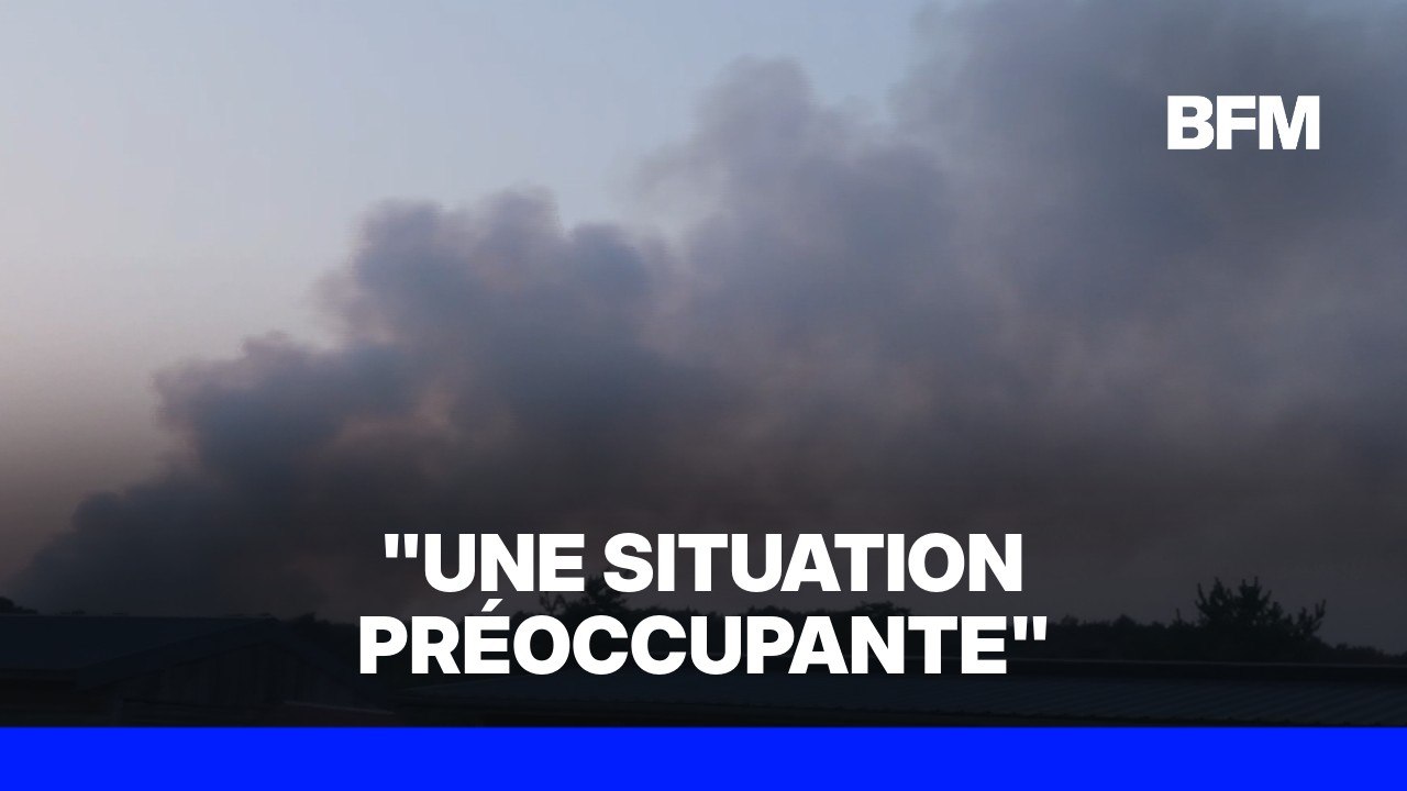 Incendies: deux nouveaux départs de feu à Fontainebleau, dont un toujours en cours