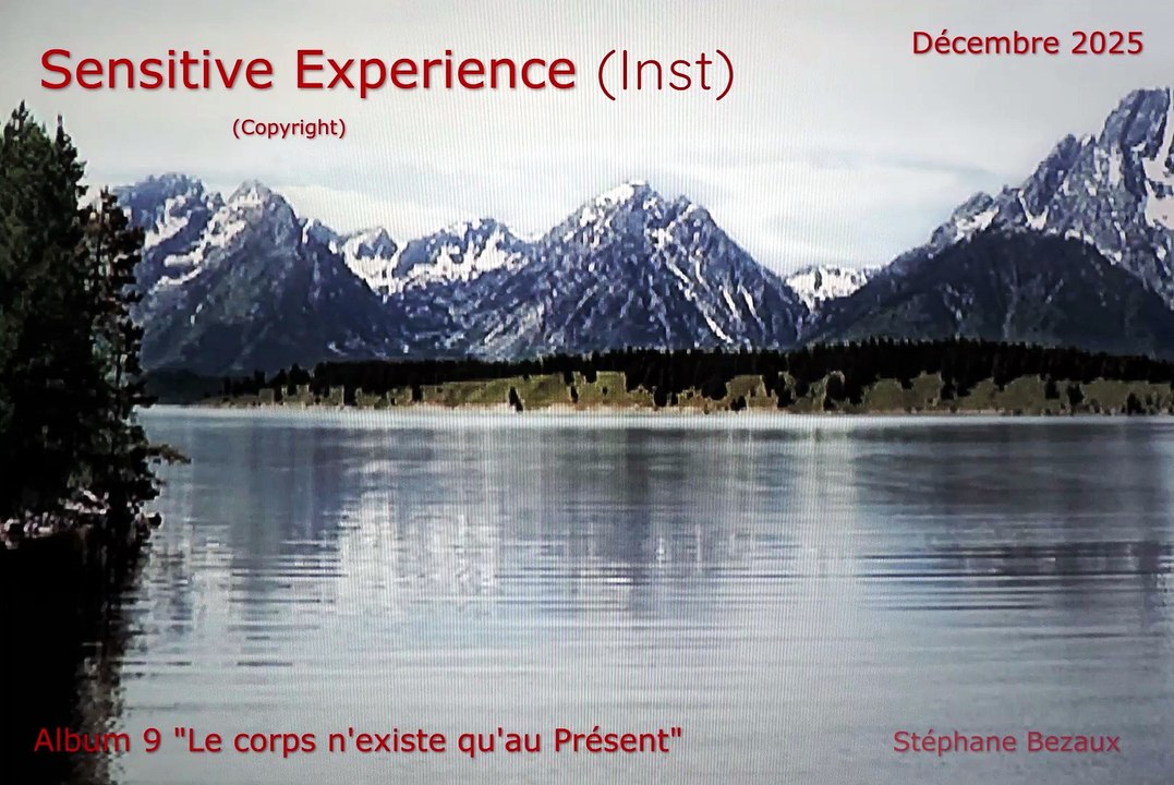 SENSITIVE EXPERIENCE (INST)