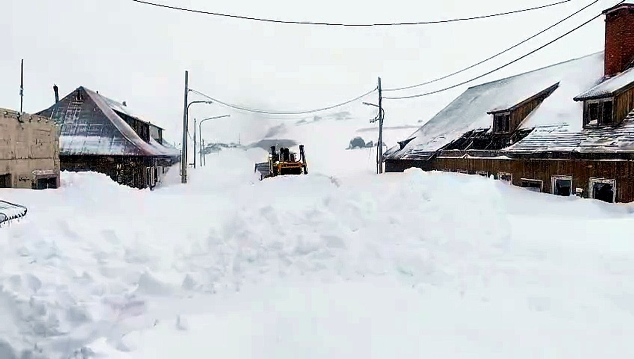 nieve