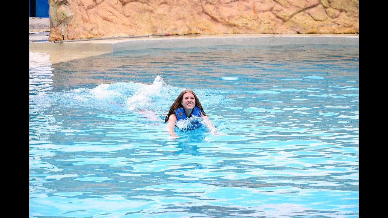 Dolphin Ride